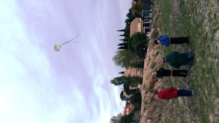 kites-3